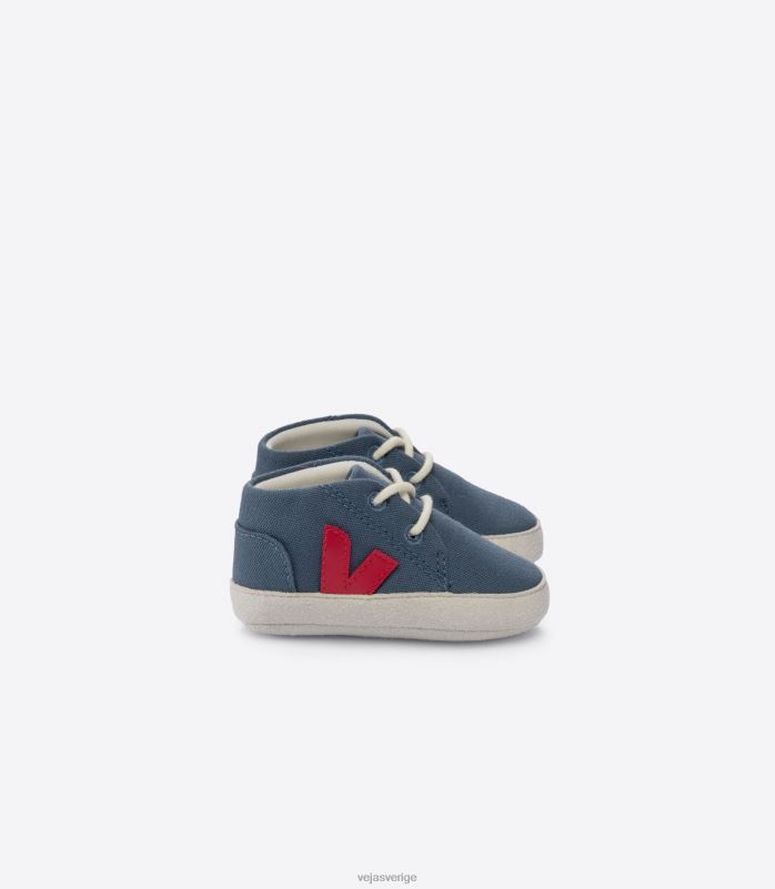 skor JP4FL404 barn Veja baby canvas kalifornien pekin